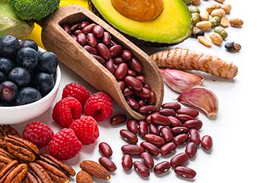 Variedades de poroto