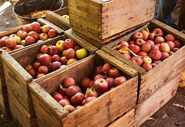 Manzanas libres de gluten, empacadas en cajas