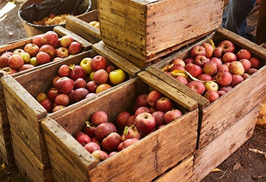 Manzanas libres de gluten, empacadas en cajas