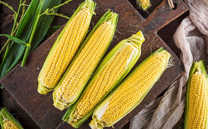 11 comidas caseras de América Latina | Recetas Nestlé 11 comidas caseras de América Latina | Recetas Nestlé