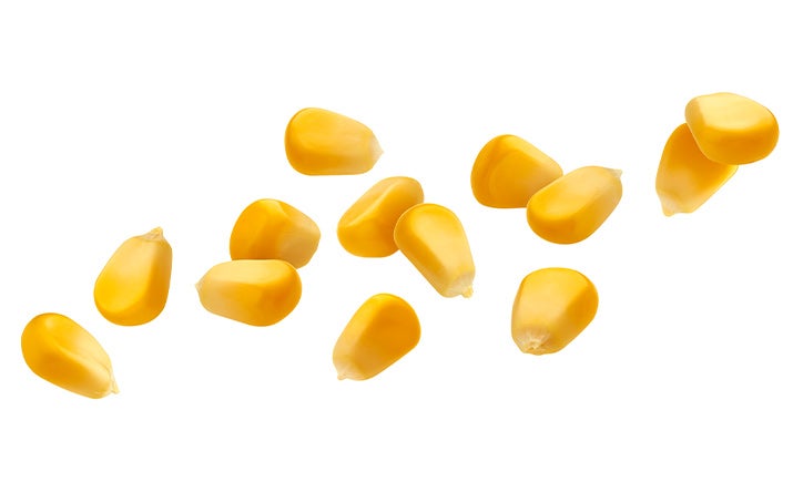 Todo lo que tenés que saber sobre el maíz | Recetas Nestlé Todo lo que tenés que saber sobre el maíz | Recetas Nestlé