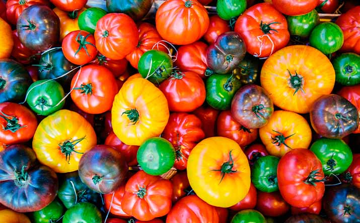 Cómo elegir, conservar y pelar tomates | Recetas Nestlé