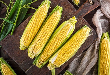 ¿El maíz tiene gluten? Maíces en una mesa.
