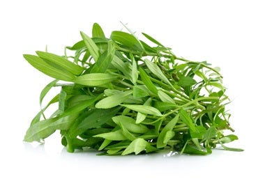 Ramas y hojas frescas de estragón