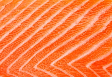 Variedades de salmon