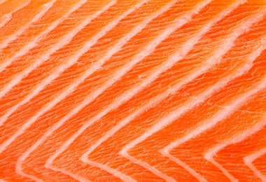 Variedades de salmon