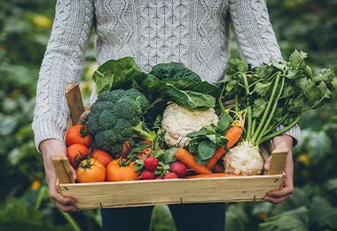 Múltiples verduras listas para ser utilizadas en recetas para rutinas de ejercicio