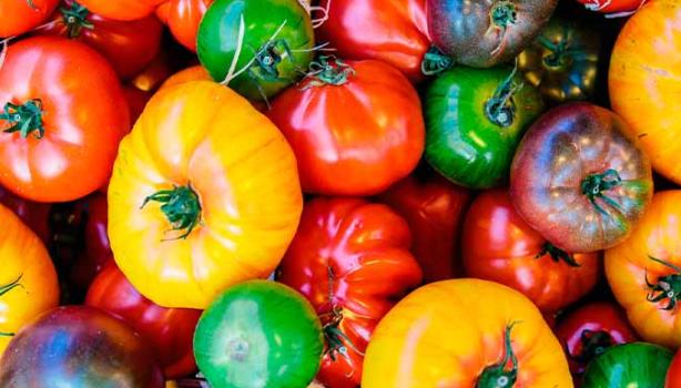 Cómo elegir, conservar y pelar tomates | Recetas Nestlé