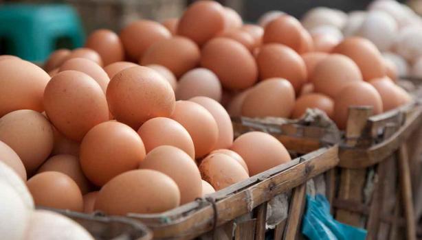 Huevos en un mercado local, sustitutos de huevo.  