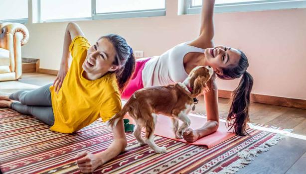 Unas mujeres haciendo ejercicio en casa con su perro