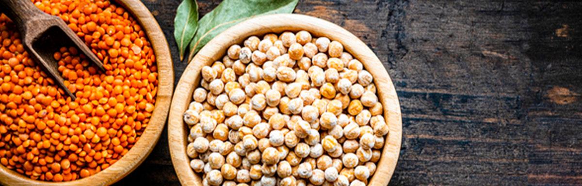 Semillas de garbanzo, lenteja y maíz de snacks salados 