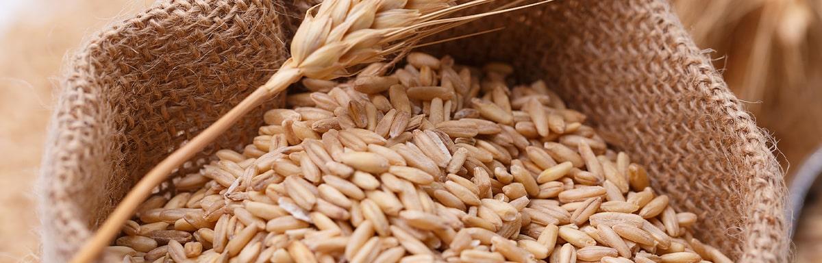 Cómo cocinar platos sin gluten | Recetas Nestlé