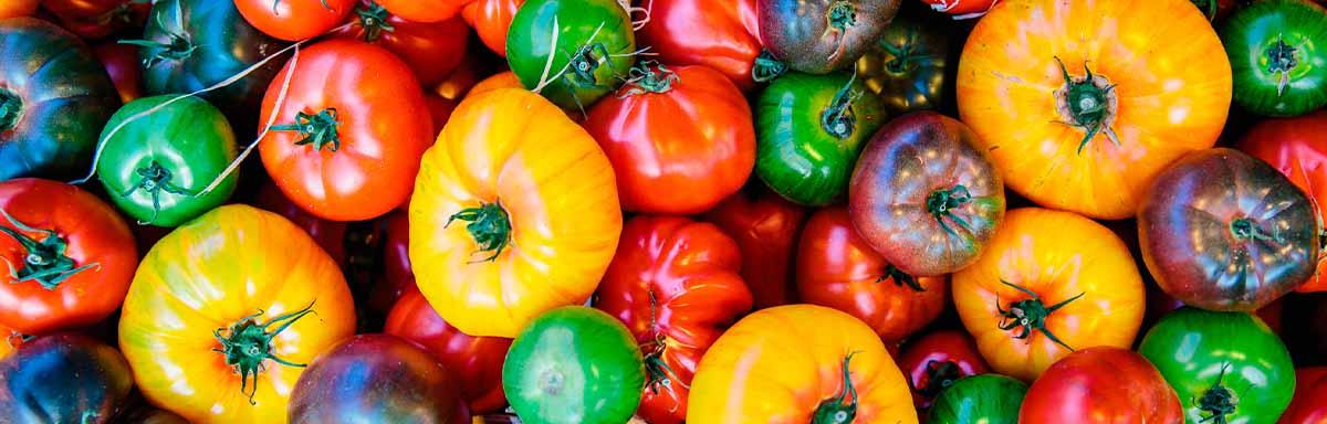 Cómo elegir, conservar y pelar tomates | Recetas Nestlé