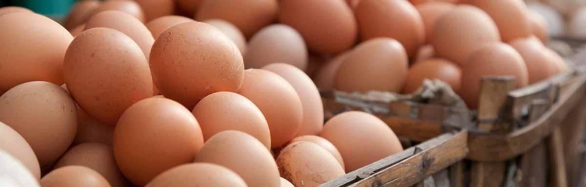 Utilizar yema de los huevos  
