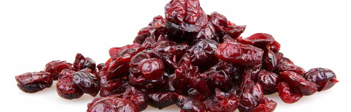  Los arándanos son una de las frutas deshidratadas más populares. 