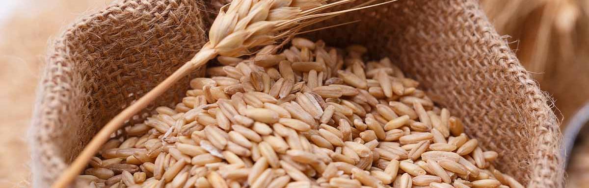 Lo que debes saber de la sémola de trigo