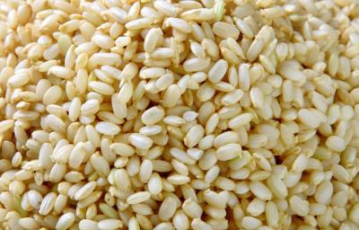 arroz arroz