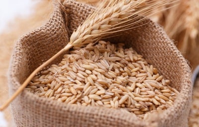 Cómo cocinar platos sin gluten | Recetas Nestlé