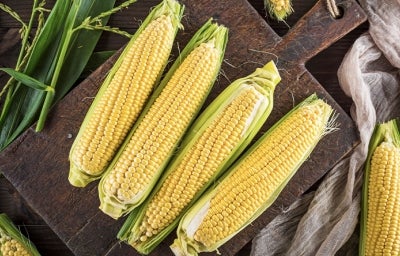 El choclo es usado en varias comidas caseras latinoamericanas. 