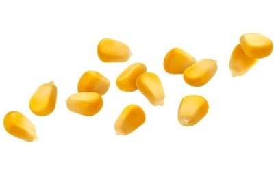 Todo lo que tenés que saber sobre el maíz | Recetas Nestlé