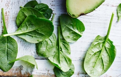 Espinacas baby frescas. 