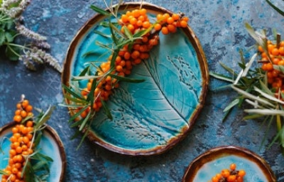 Tips y consejos para aprender a emplatar