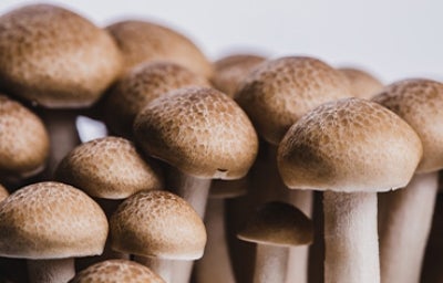 Champiñones ingredientes con sabor umami 