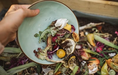 Residuos de frutas y verduras para hacer composta  