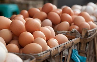 Huevos en un mercado local, sustitutos de huevo. Huevos en un mercado local, sustitutos de huevo.