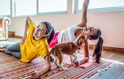 Unas mujeres haciendo ejercicio en casa con su perro Unas mujeres haciendo ejercicio en casa con su perro