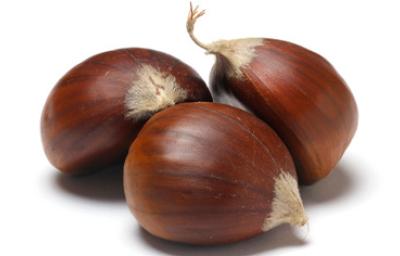  Fruto de castañas