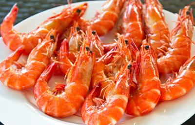 Plato de exquisito langostino
