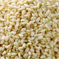 arroz
