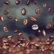 Todo lo que debés saber sobre el café | Recetas Nestlé