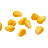 Todo lo que tenés que saber sobre el maíz | Recetas Nestlé
