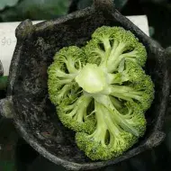 Cosecha de brócoli	