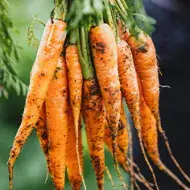 Existen muchísimas recetas con zanahoria para usarla cruda o cocinada.