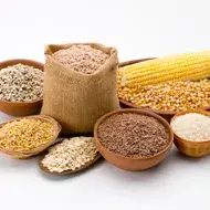 Varios tipos de granos como maíz, arroz, quinoa y diferentes tipos de cereales