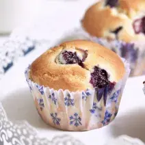 Muffins de arandanos
