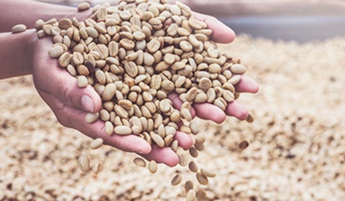 Día internacional del café granos verdes sin tostar Día internacional del café granos verdes sin tostar