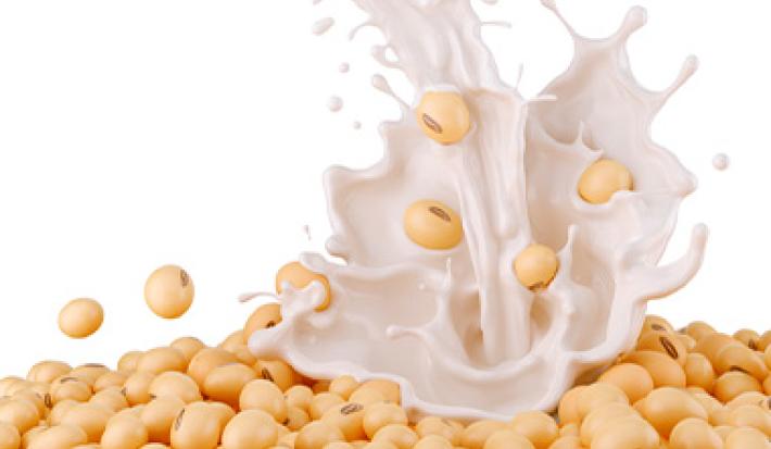 Granos y bebida de soya en quesos veganos Granos y bebida de soya en quesos veganos