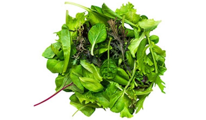 Variedad de hojas verduras verdes Variedad de hojas verduras verdes
